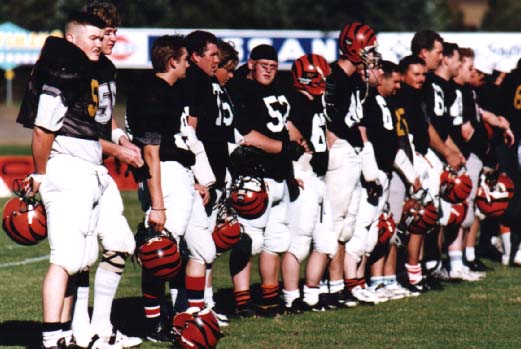 tigers95a.JPG (75334 bytes)