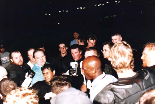 tigers95c.JPG (59764 bytes)