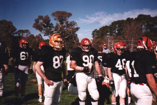 tigers97a.JPG (65914 bytes)