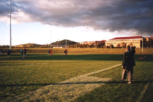 tigers98a.JPG (61321 bytes)